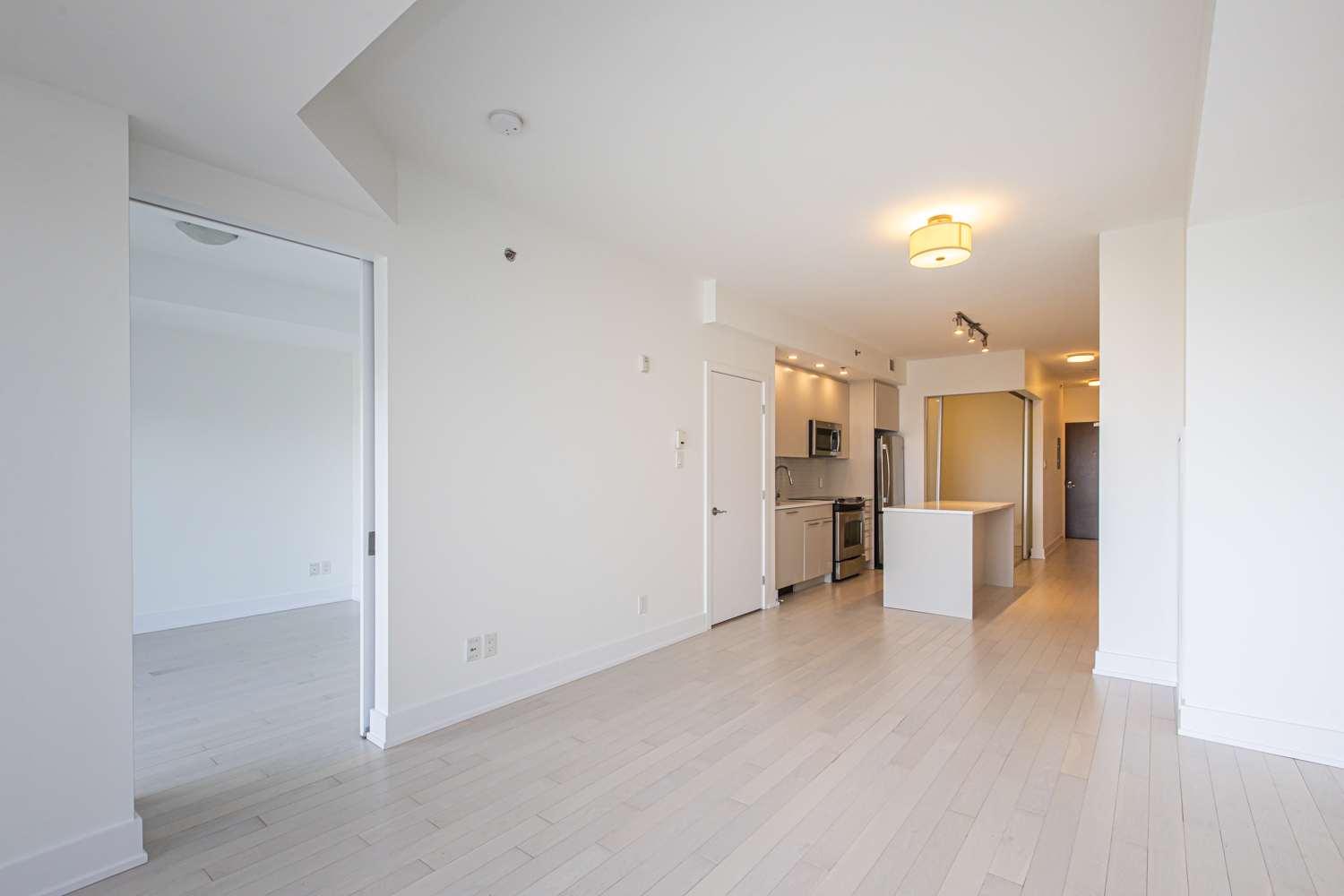 88 Richmond Road #513 11
